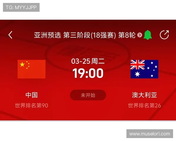 深入解读美加墨世界杯亚洲区预选赛的比赛规则及裁判判罚标准